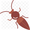 Ant Beetle Bug Icon