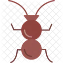 Ant  Icon