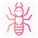 Animals Insect Bug Icon