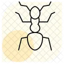 Ant Fly Insect Icon