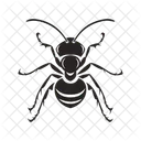 Ant Icon