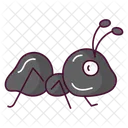 Ant Insect Bug Icon