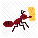 Ant Insect Bug Icon