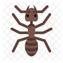 Ant  Icon