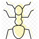 Ant Insect Tiny Icon