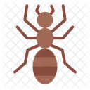 Ant Pest Insect Icon