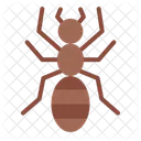 Ant  Icon