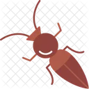 Ant  Symbol