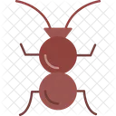 Ant  Symbol
