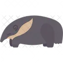 Anteater Nose Animal Icon