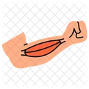 Antebracos Icon