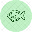 Anthias  Icon