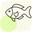 Anthias Ocean Marine Icon