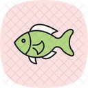 Anthias Ocean Marine Icon