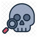 Anthropology Identification Research Icon