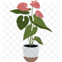 Anthurium Plant Pot House Plant Icon