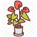 Anthurium Flowers Plant Icon
