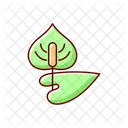 Anthurium Plant Botanical Icon