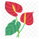Anthurium Flower Blossom Icon