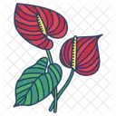 Anthurium Flower Blossom Icon