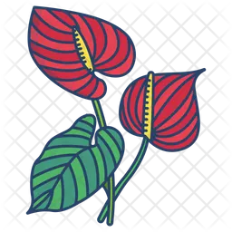 Anthurium  Icon