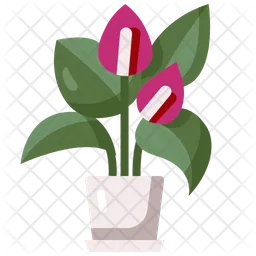 Anthurium  Icon