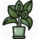 Anthurium Blossom Flowers Icon