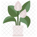 Anthurium Plant Nature Icon