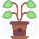 Anthurium Botanical Home Decoration Symbol
