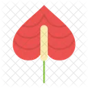 Anthurium  Icon
