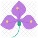 Anthurium Flower Natural Icon