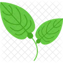 Anthurium Flower Natural Icon