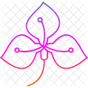 Anthurium  Icon
