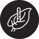 Anthurium-Blume  Symbol