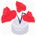 Anthurium Flower  Icon