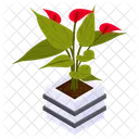 Anthurium Houseplant  Icon