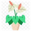 Anthurium Nature Decoration Icon