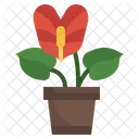 Anthurium Plant Nature Icon