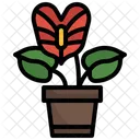 Anthurium Plant Nature Icon