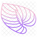 Anthurium  Icon