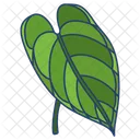 Anthurium  Icon