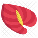 Anthurium Flower Flowers Icon