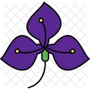Anthurium  Icon
