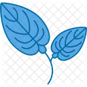 Anthurium Flower Natural Icon