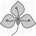 Anthurium Flower Natural Icon