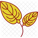 Anthurium Flower Natural Icon