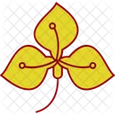 Anthurium Flower Natural Icon