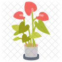 Anthurium  Icon