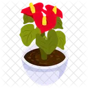 Anthurium Pot  Icon