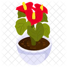Anthurium Pot  Icon